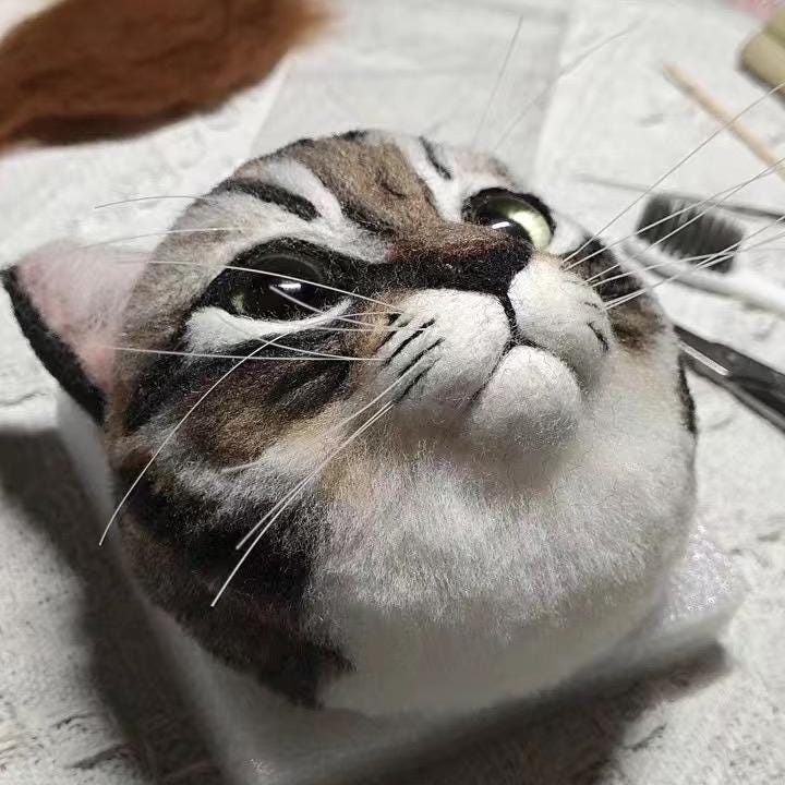 Needle felted cat face with realistic wool eyes showing natural placement, eyelids, and expression