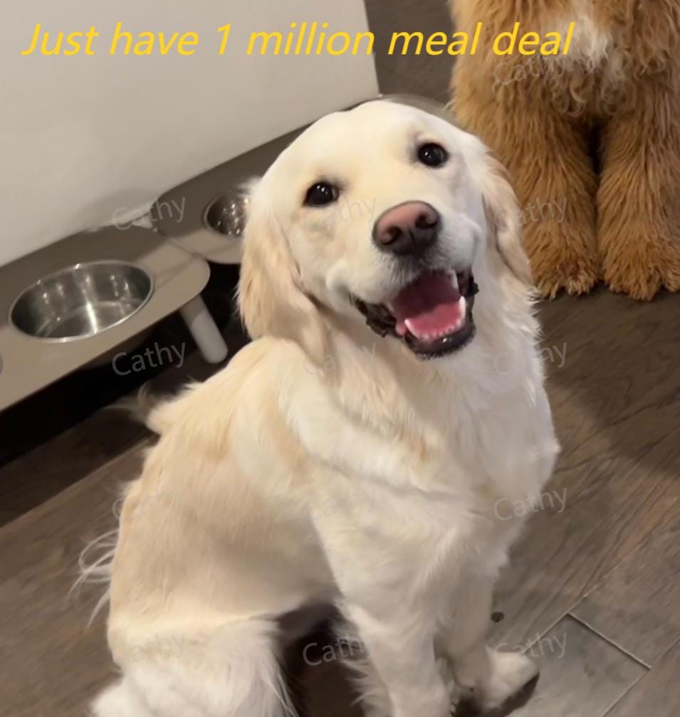 Golden Retriever Wall Art • 3D Pet Portrait in Ornate Frame • Custom Dog Lover Gift • Realistic Golden Retriever Home Decor