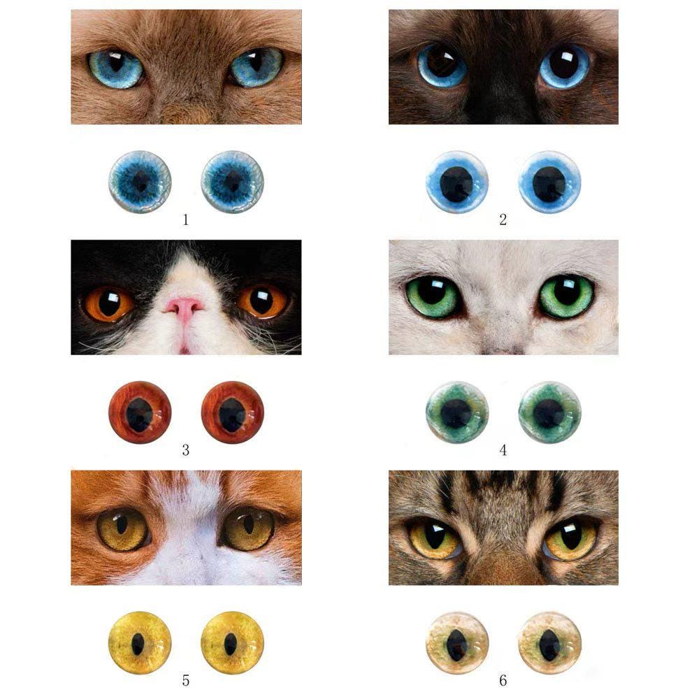 Realistic Animal Glass Eyes: Custom Pet Portrait, Needle Felting, Doll Making